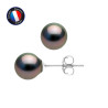 PERLINEA - Boucle d'Oreilles - Perles de Culture de Tahiti - Ronde 8/9 mm Noir