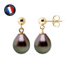 PERLINEA - Boucle d'Oreilles - Perles de Culture de Tahiti - Ronde 8/9 mm Noir