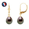 PERLINEA - Boucle d'Oreilles - Perles de Culture de Tahiti - Ronde 8/9 mm Noir