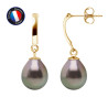 PERLINEA - Boucle d'Oreilles - Perles de Culture de Tahiti - Ronde 8/9 mm Noir