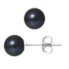 PERLINEA - Boucles d'Oreilles - Perles de Culture d'Eau Douce - Ronde 7/8 mm Noir