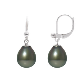 PERLINEA - Boucles d'Oreilles - Perles de Culture de Tahiti - Ronde 8/9 mm Noir
