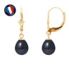 PERLINEA - Boucle d'Oreilles - Perles de Culture d'Eau Douce - Ronde 7/8 mm Noir