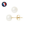 PERLINEA - Boucle d'Oreilles - Perles de Culture d'Eau Douce - Bouton 7/8 mm Blanc